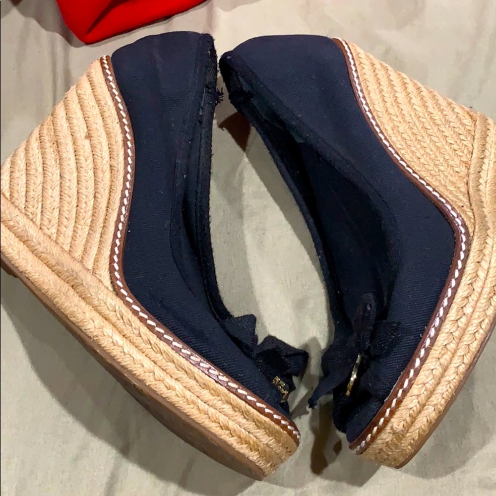 Tory wedge